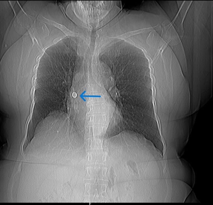 WhatsApp Image 2025-07-16 at 15.15.12.jpeg